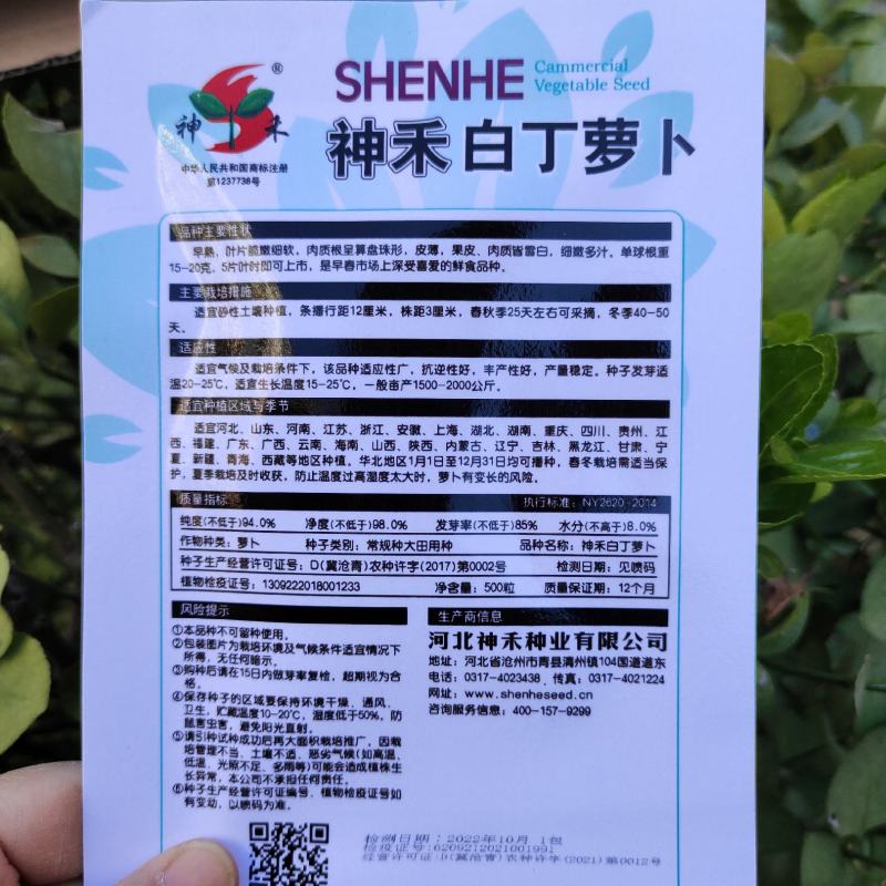 神禾白丁萝卜种子菜籽芜菁籽种四季小白樱桃水果萝卜种子