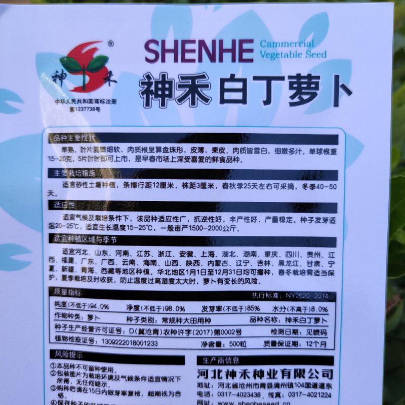 神禾白丁萝卜种子菜籽芜菁籽种四季小白樱桃水果萝卜种子