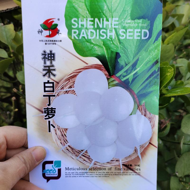 神禾白丁萝卜种子菜籽芜菁籽种四季小白樱桃水果萝卜种子
