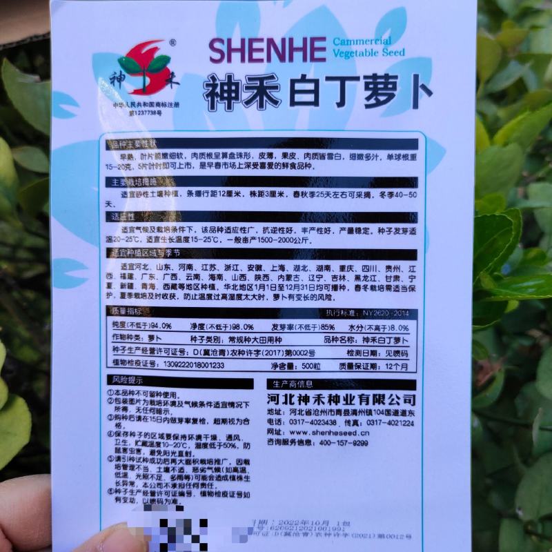 神禾白丁萝卜种子菜籽芜菁籽种四季小白樱桃水果萝卜种子