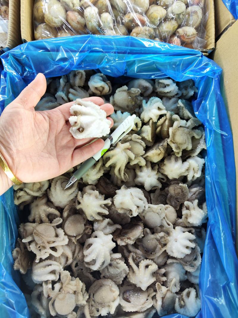 各种规格的纯干盐柔八爪鱼，