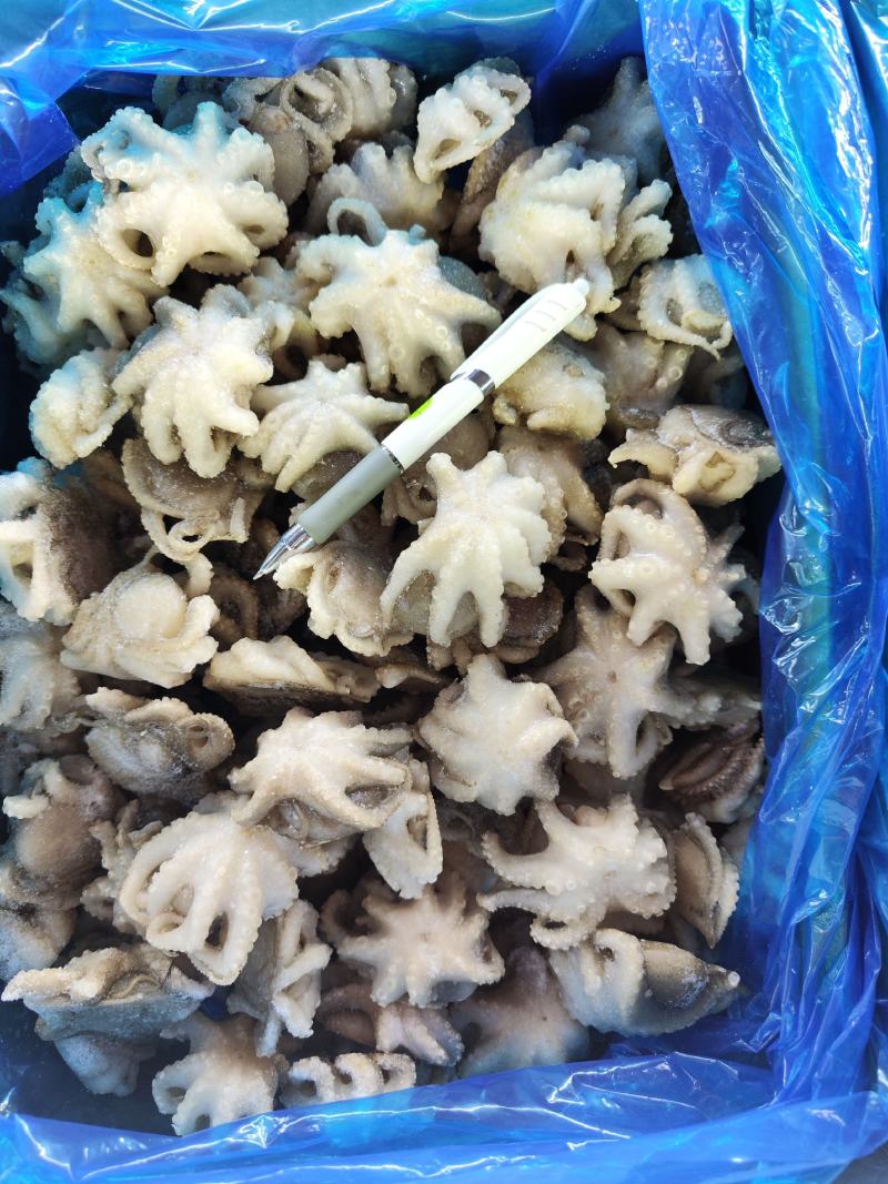 各种规格的纯干盐柔八爪鱼，