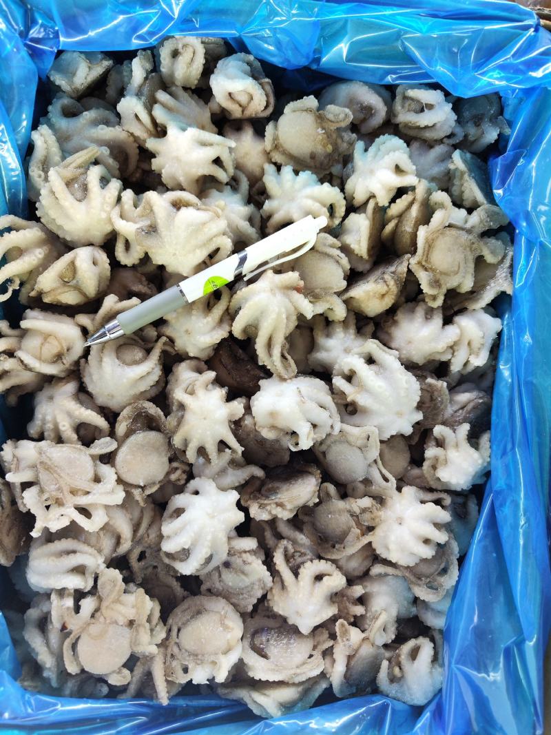 各种规格的纯干盐柔八爪鱼，