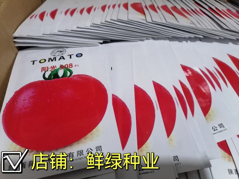 中早熟矮秧自封顶大红果果色鲜艳耐贮运阳光903