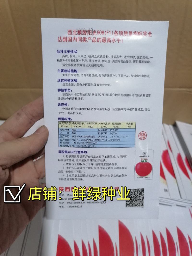 中早熟矮秧自封顶大红果果色鲜艳耐贮运阳光903