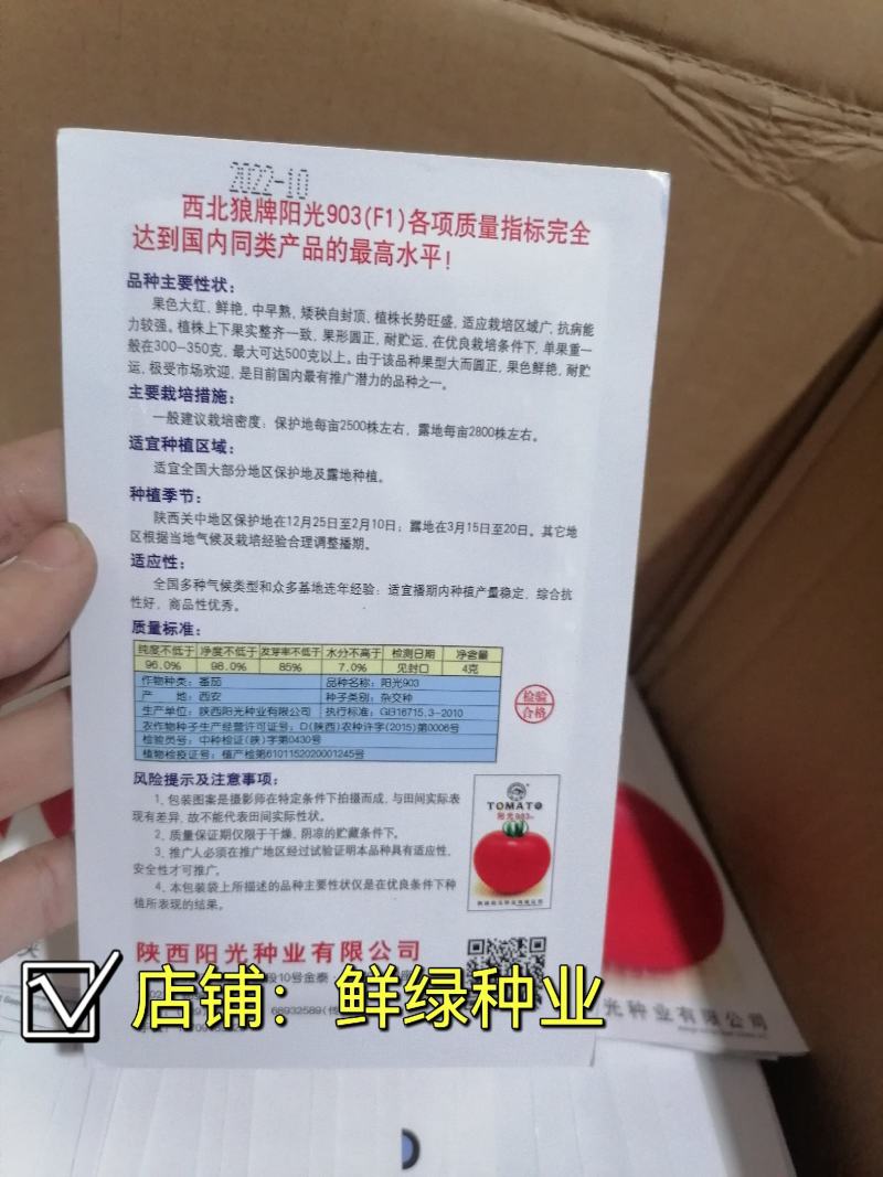 中早熟矮秧自封顶大红果果色鲜艳耐贮运阳光903
