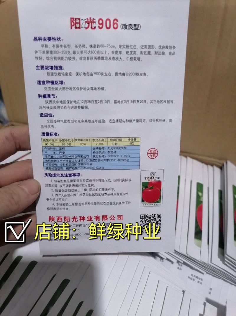 中早熟矮秧自封顶大红果果色鲜艳耐贮运阳光903