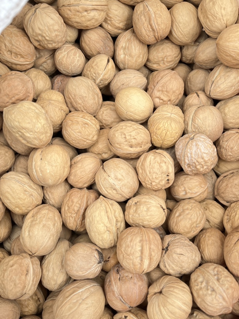 新疆核桃批发薄皮核桃赶集地摊展会散装云南麻子核桃