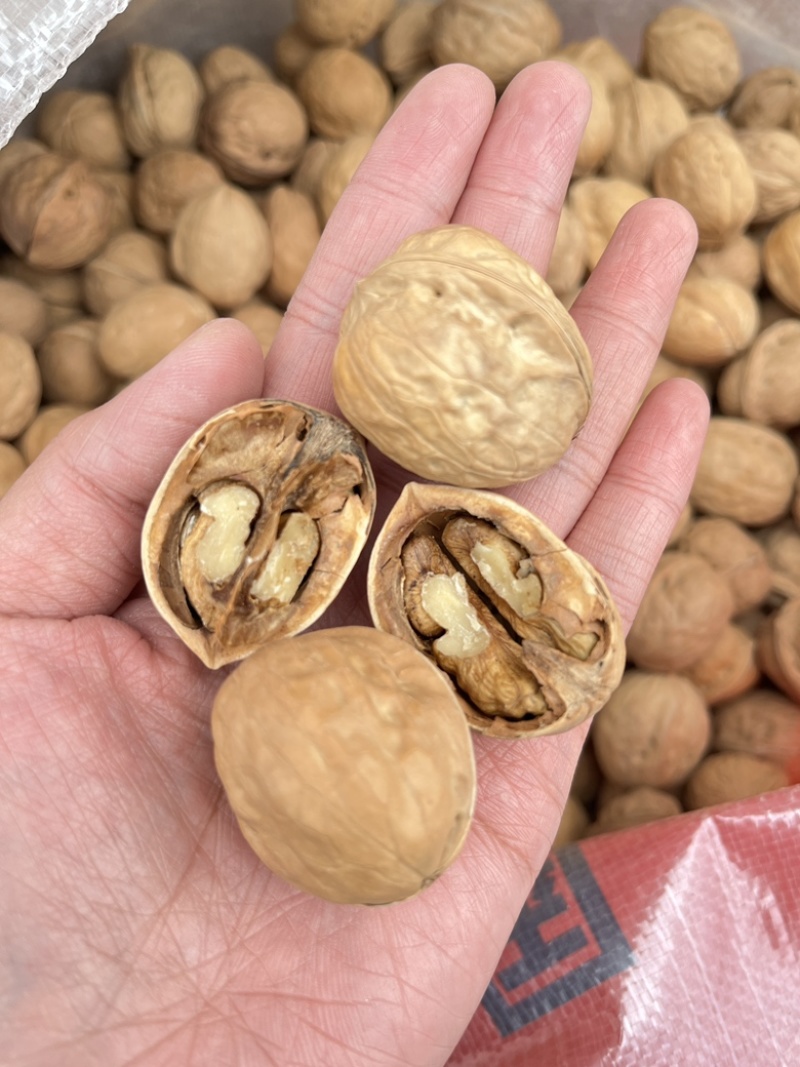 新疆核桃批发薄皮核桃赶集地摊展会散装云南麻子核桃