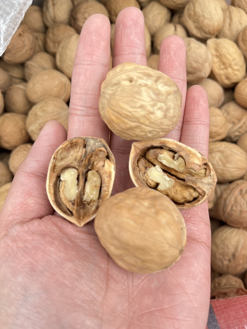 新疆核桃批发薄皮核桃赶集地摊展会散装云南麻子核桃