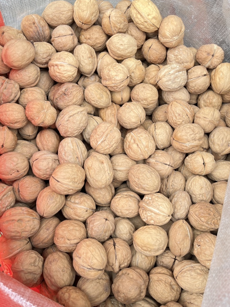 新疆核桃批发薄皮核桃赶集地摊展会散装云南麻子核桃