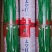 太空红玉架豆王种子四季豆种子泰国无筋架豆王红玉种植户放心