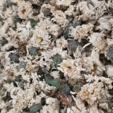 菊花药用菊花优质中药材无硫干货精品菊花批发实物