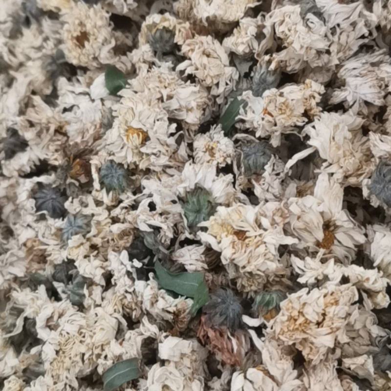 菊花药用菊花优质中药材无硫干货精品菊花批发实物