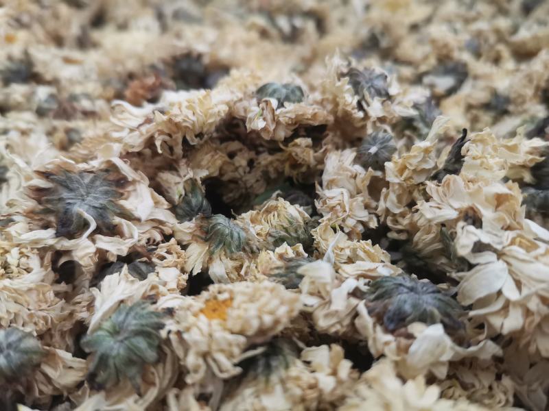菊花药用菊花优质中药材无硫干货精品菊花批发实物