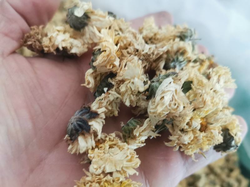 菊花药用菊花优质中药材无硫干货精品菊花批发实物