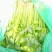 香芹，棵长60-70公分，叶绿，杆青，棵粗细均匀