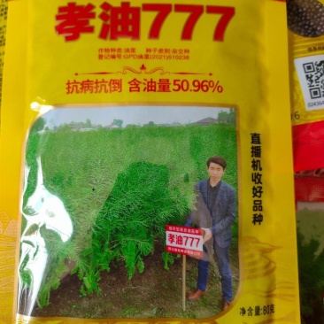 油菜籽种观赏油菜花榨油食用油菜籽油杂交高产油菜种子花海种