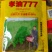 油菜籽种观赏油菜花榨油食用油菜籽油杂交高产油菜种子花海种