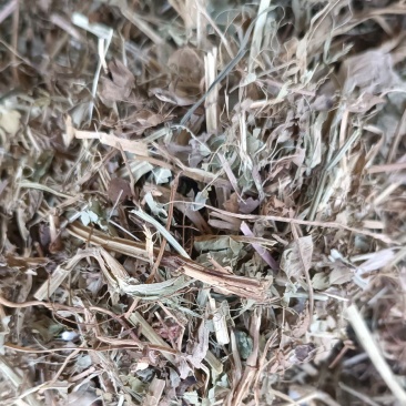 花生草！产地直供！货源充足！价格平稳！欢迎订购！