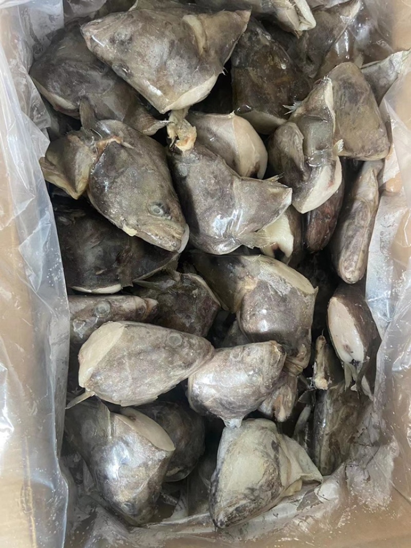 鲽鱼头系列