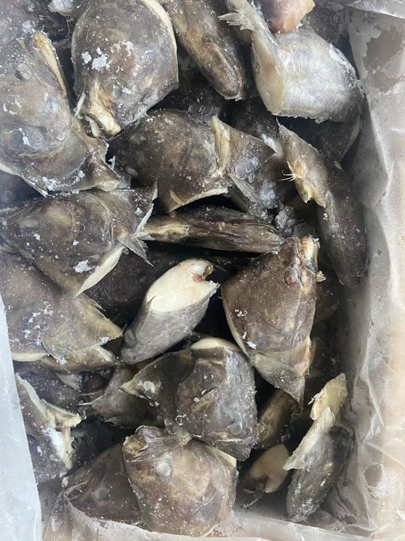 鲽鱼头系列
