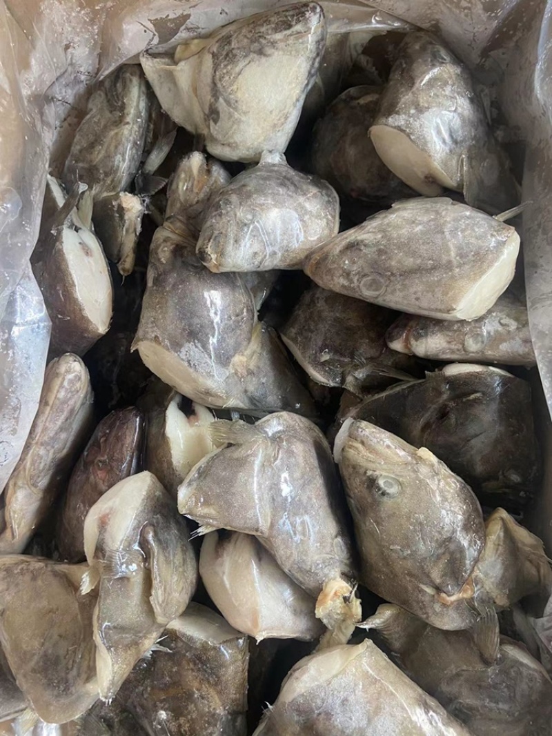 鲽鱼头系列