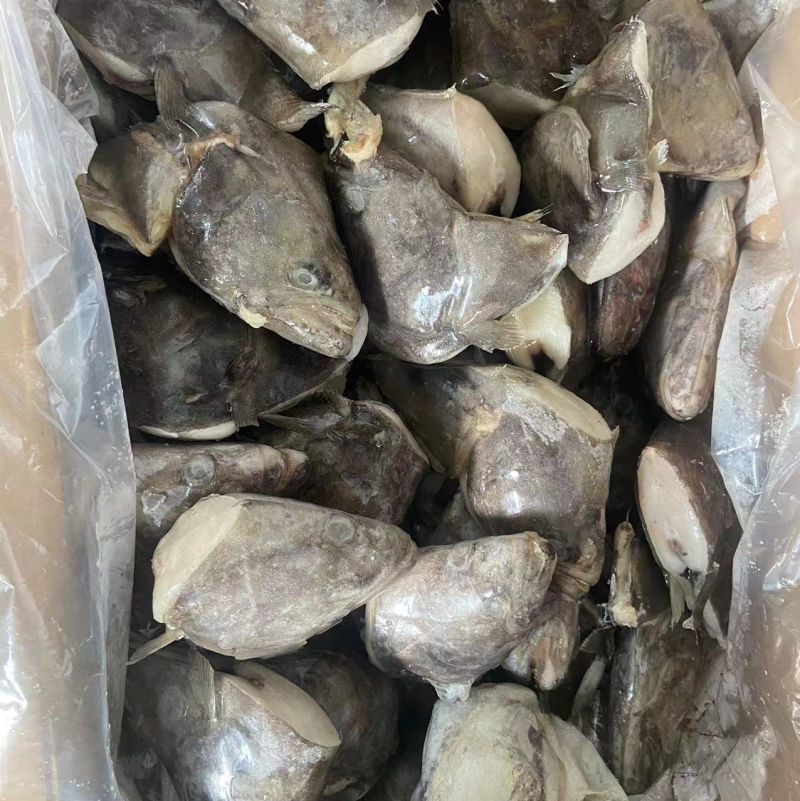 鲽鱼头系列