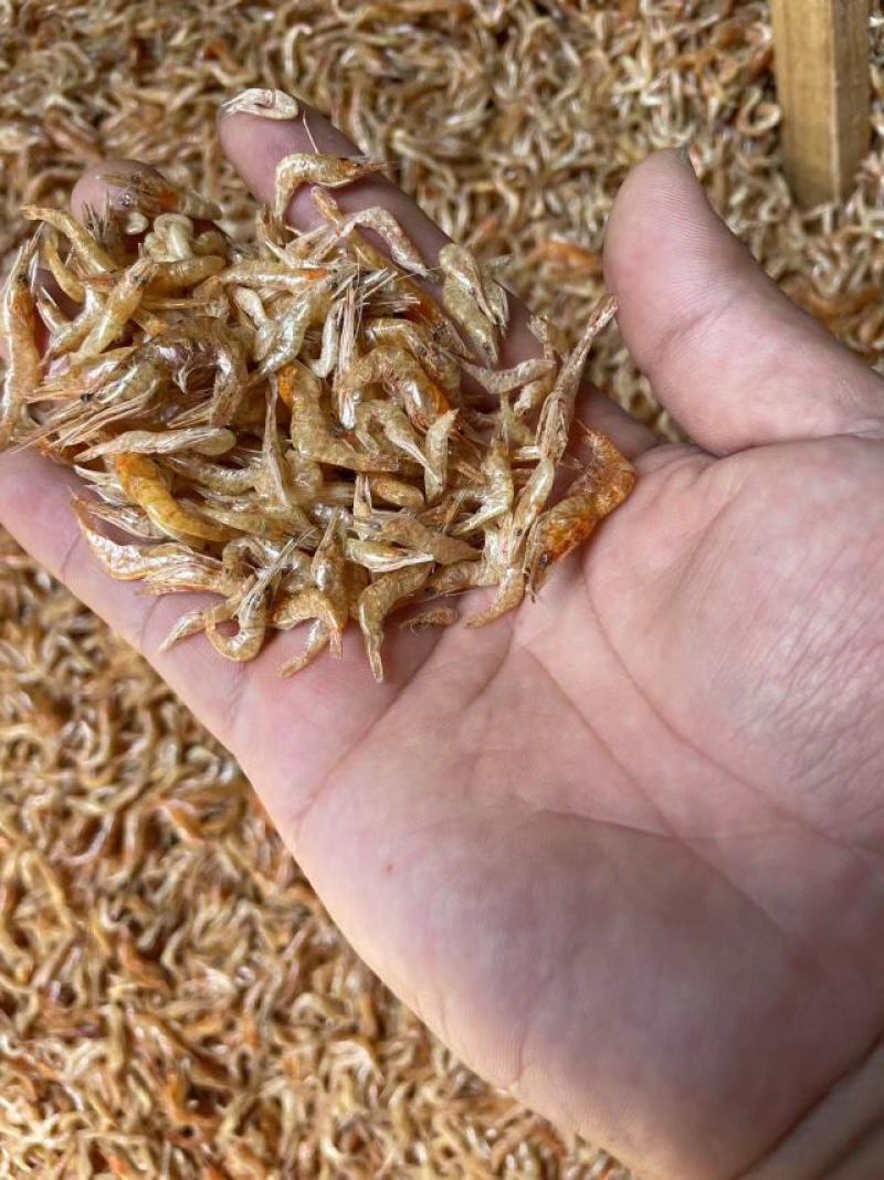 淡水小河虾，靓货少量有货。