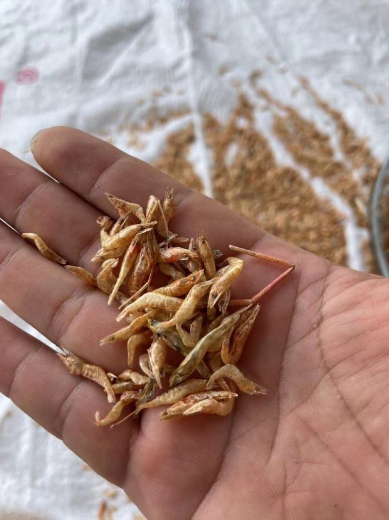 淡水小河虾，靓货少量有货。