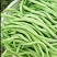 天龙红玉架豆王种子幕兰多四季豆种子无丝豆种籽种植户大田用