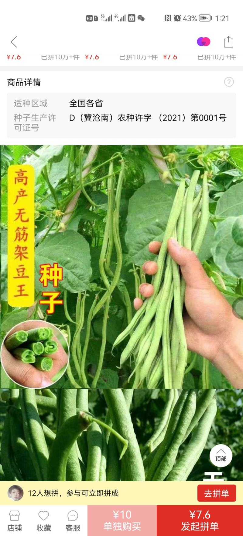 天龙红玉架豆王种子幕兰多四季豆种子无丝豆种籽种植户大田用