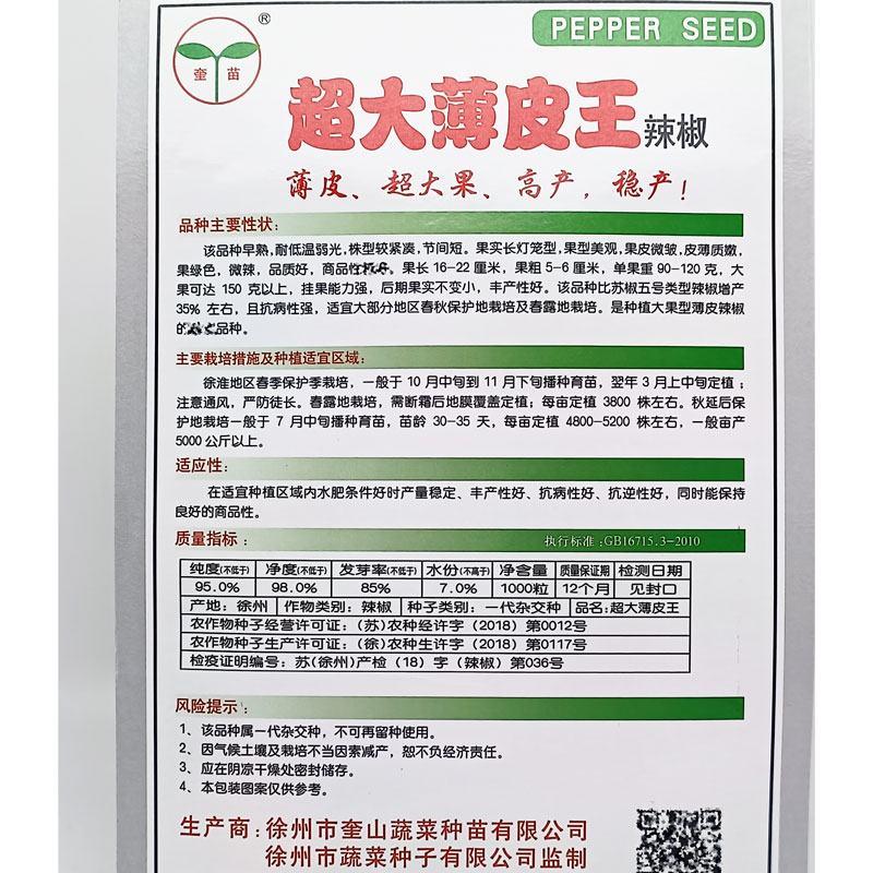 改良超大薄皮辣椒种子高产耐低温泡椒芜湖椒种子1000粒