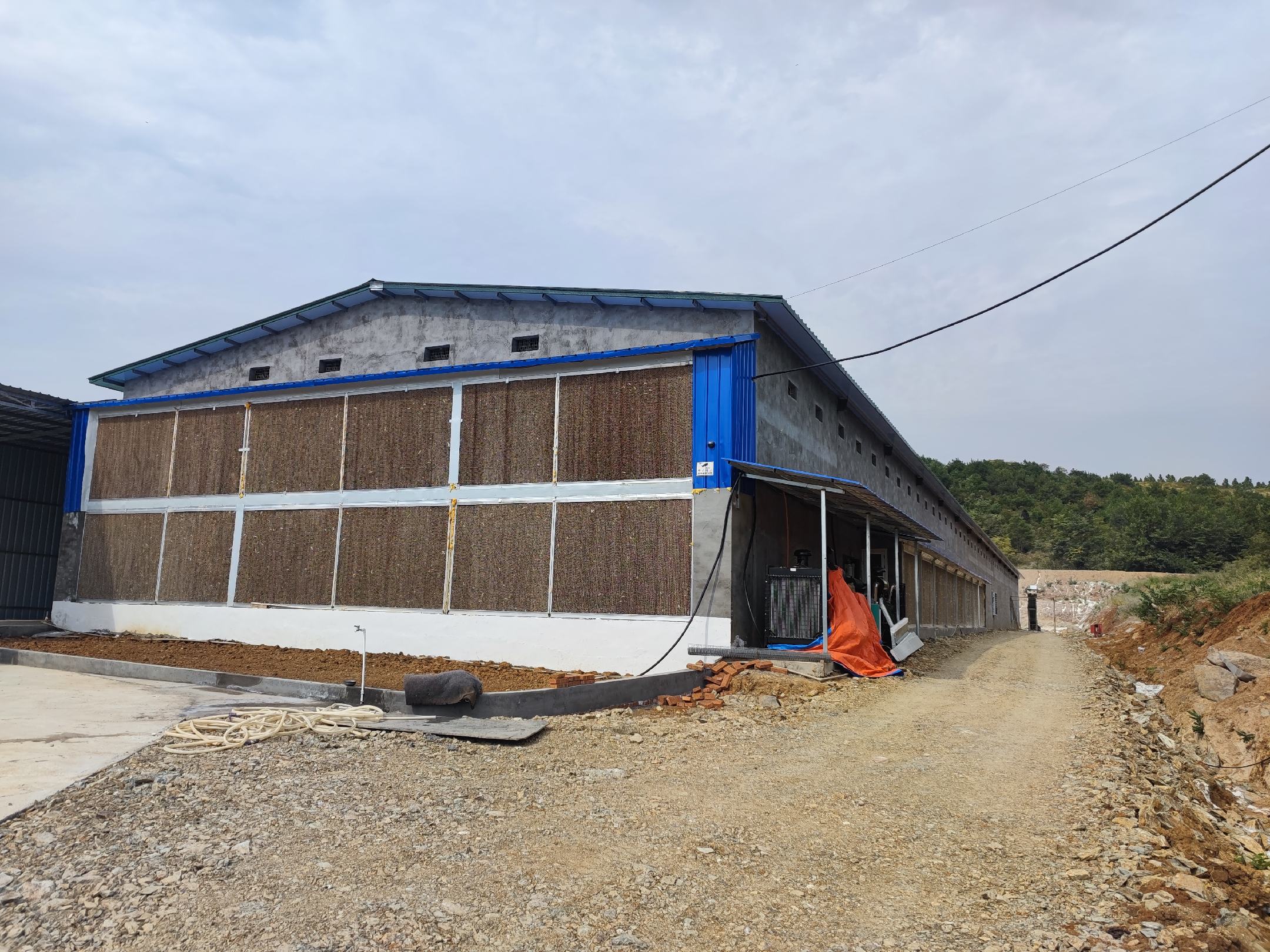 蛋鸡养殖环境控制示意图