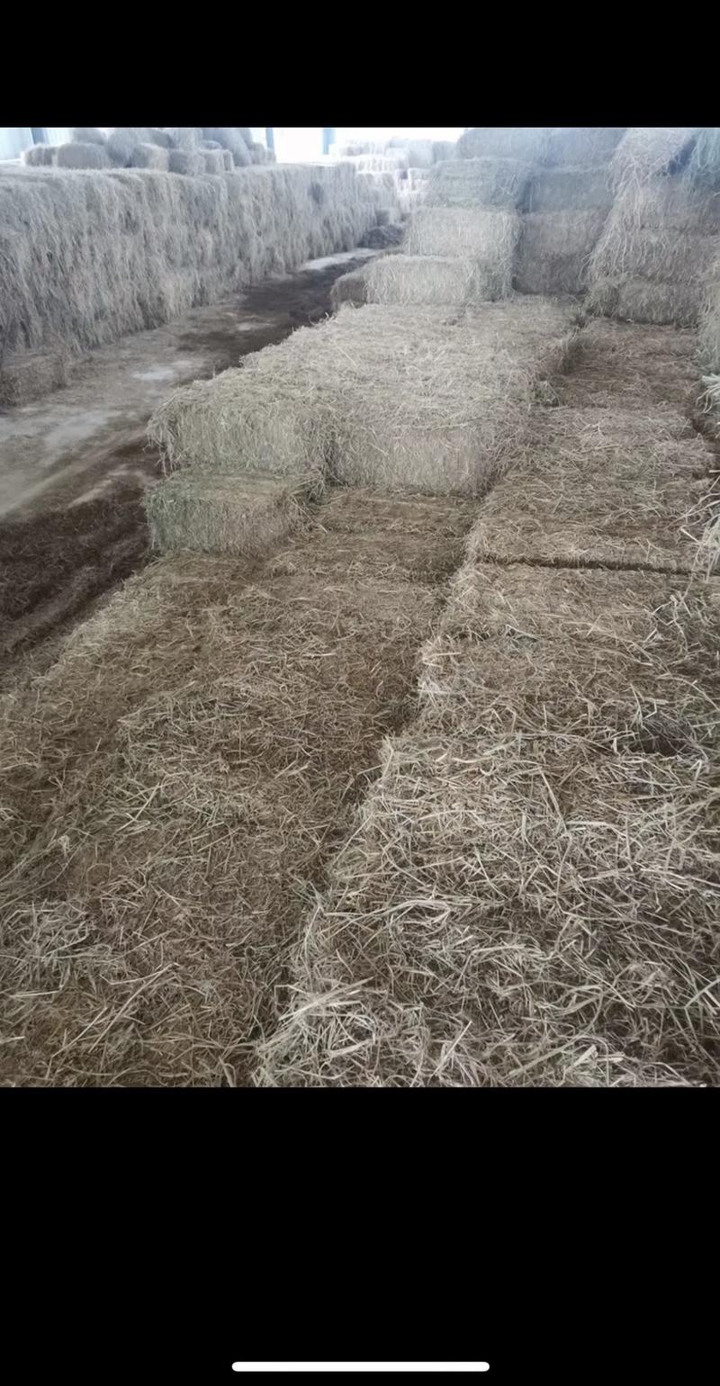 潜江虾稻田2022新草，小方捆，无土，干燥500元一吨