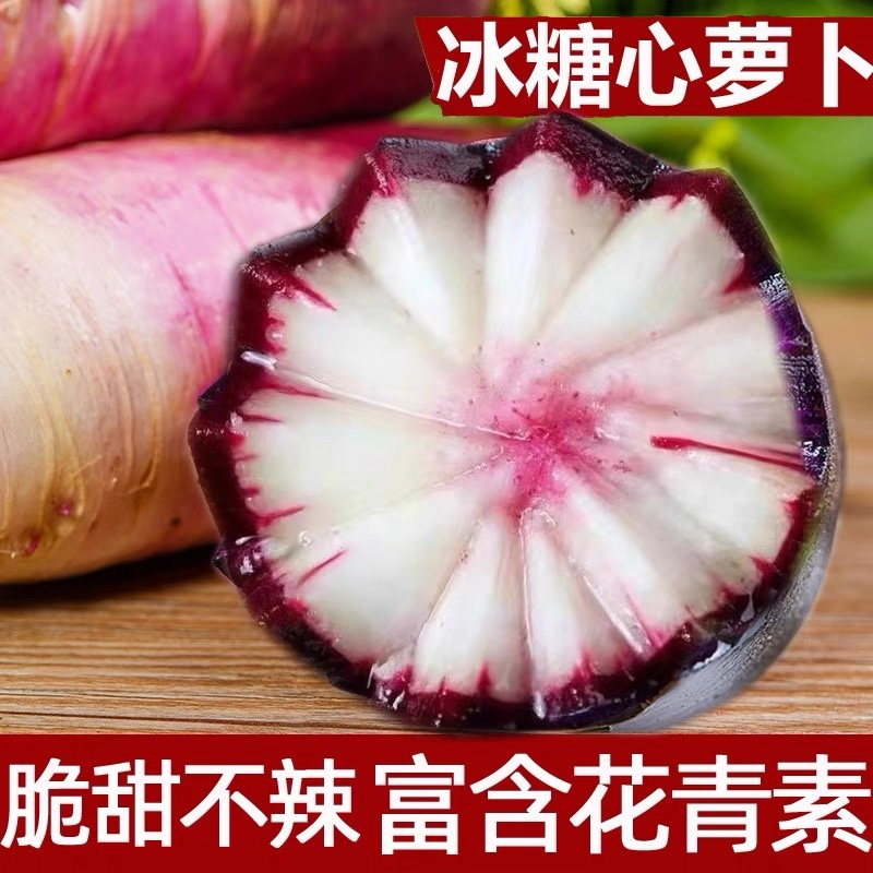 冰激凌萝卜，凤梨萝卜，红皮萝卜，冰糖心萝卜，青萝卜