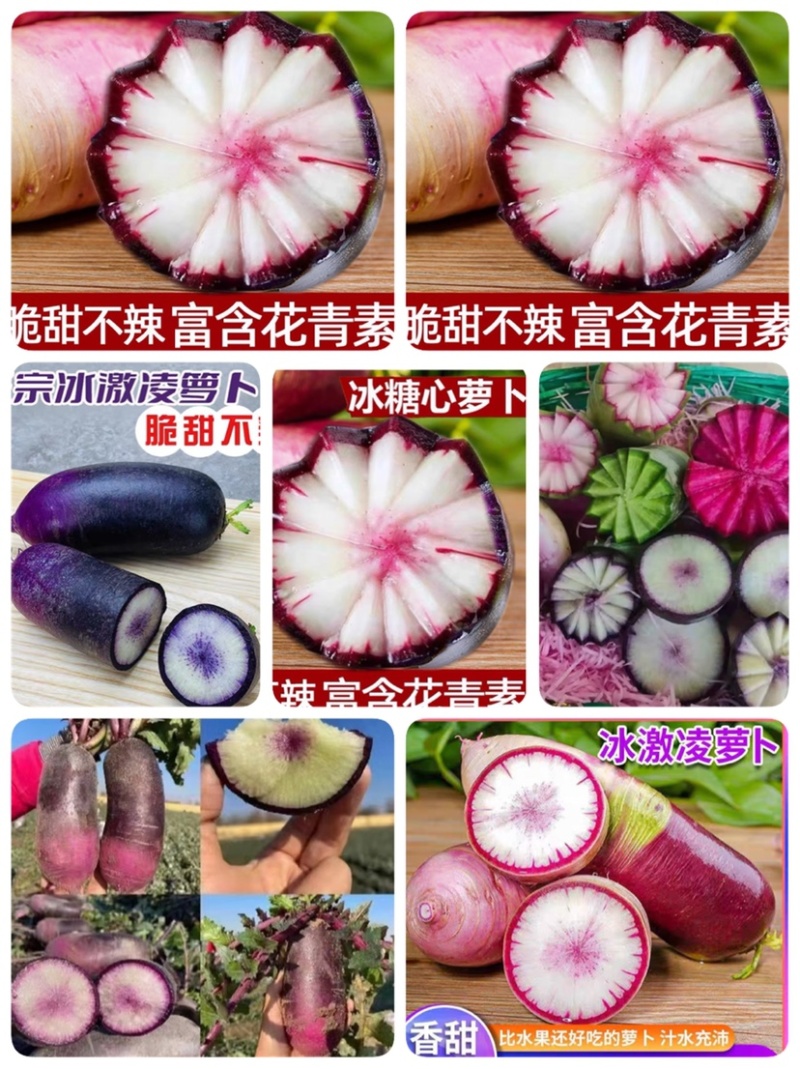 冰激凌萝卜，凤梨萝卜，红皮萝卜，冰糖心萝卜，青萝卜