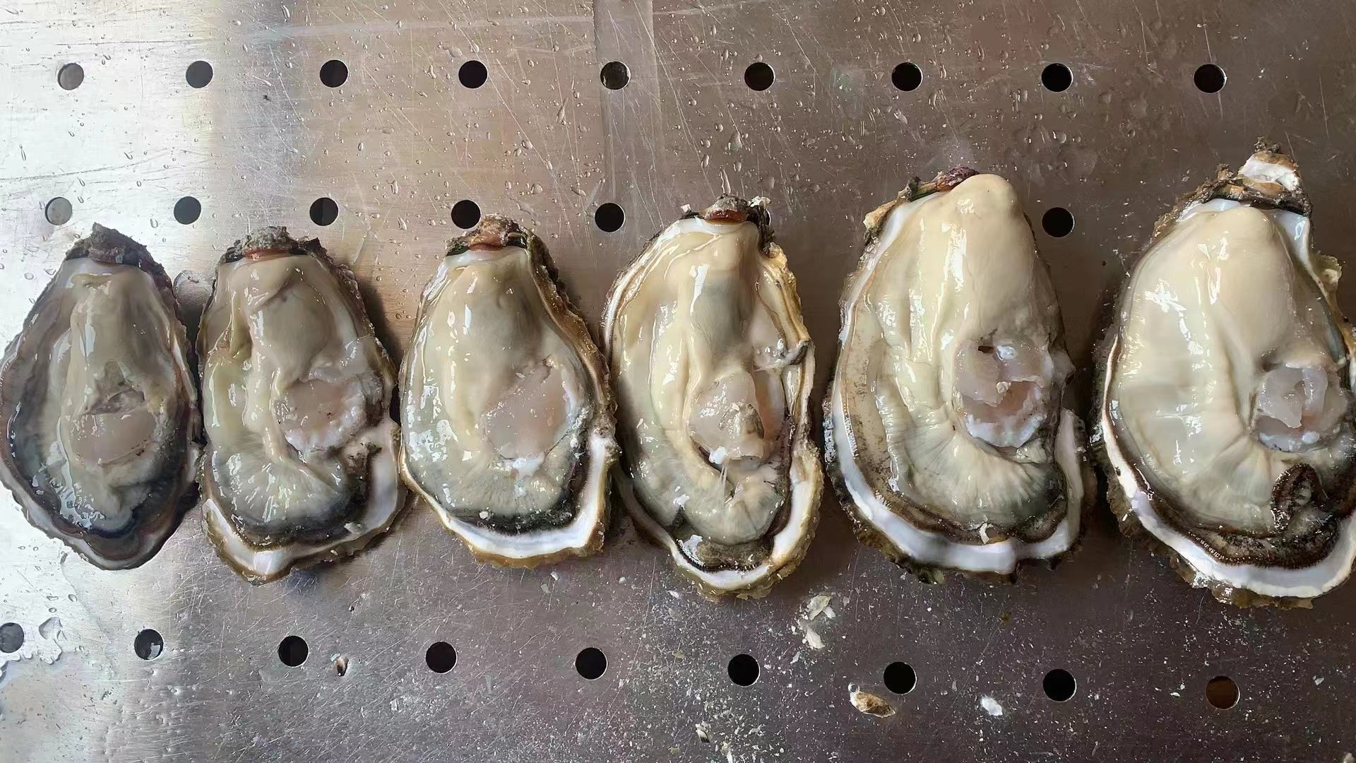 生蚝与多种蘸料搭配的美食场景