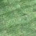 夏威夷草皮、夏威夷草卷、夏威夷草、夏威夷草块