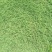 夏威夷草皮、夏威夷草卷、夏威夷草、夏威夷草块