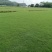 台湾草草皮、台湾草草块、台湾草草卷、草皮、兰引三号草皮