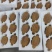 长期有货一手货源各种新鲜绿心猕猴桃