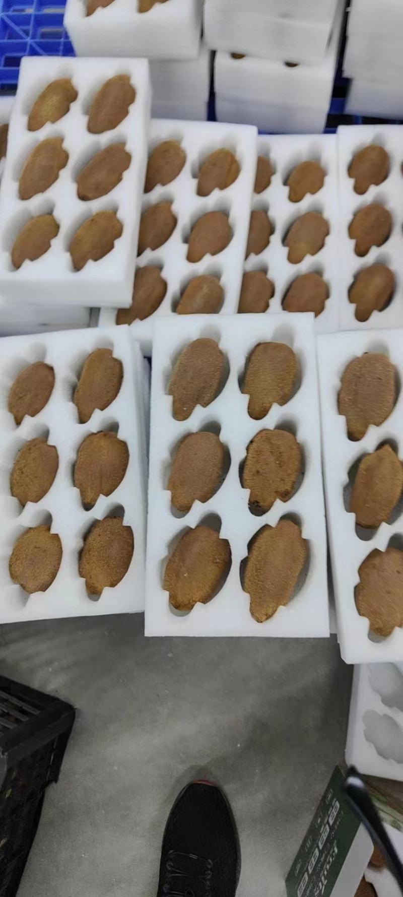 长期有货一手货源各种新鲜绿心猕猴桃