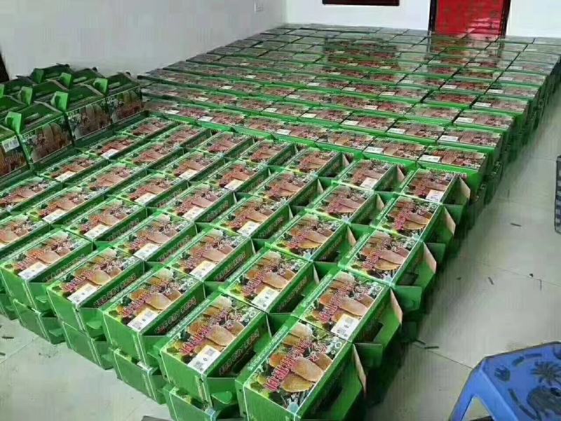 长期有货一手货源各种新鲜绿心猕猴桃