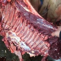江苏驴肉假一赔十，品质保证诚信经营现杀现发