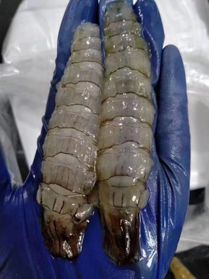 长期有货一手货源各种新鲜冻爬虾肉