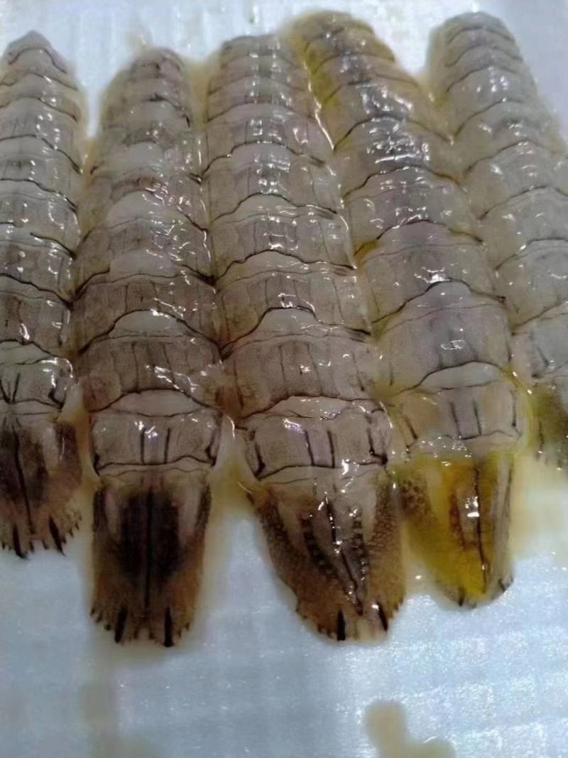 长期有货一手货源各种新鲜冻爬虾肉