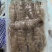 长期有货一手货源各种新鲜冻爬虾肉