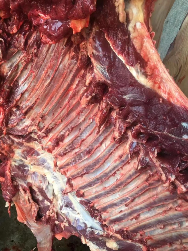 江苏驴肉假一赔十，品质保证诚信经营现杀现发