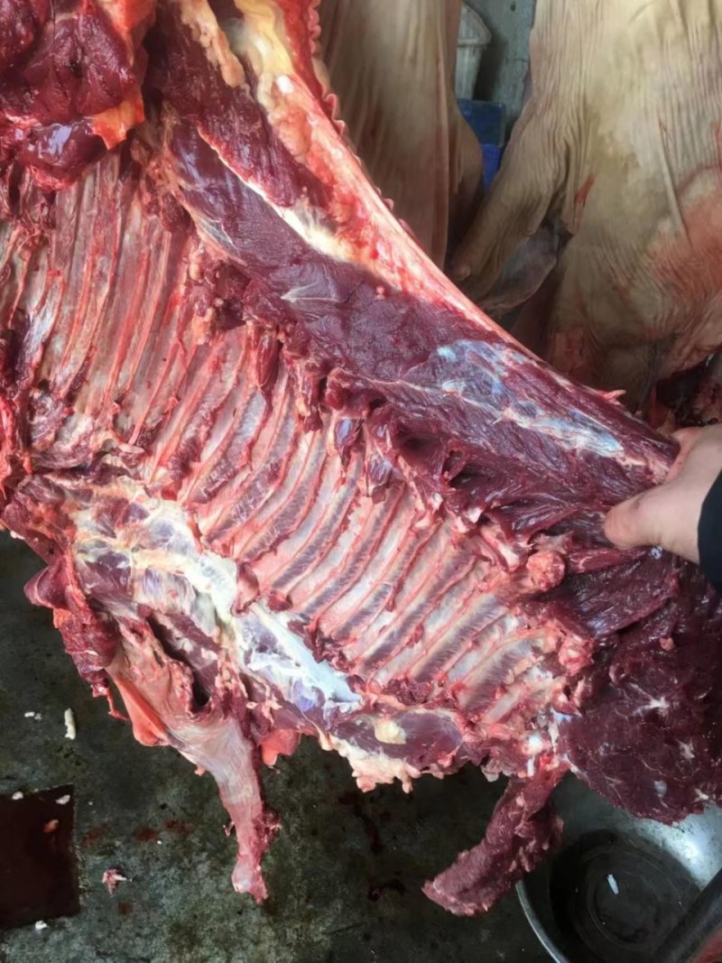 江苏驴肉假一赔十，品质保证诚信经营现杀现发